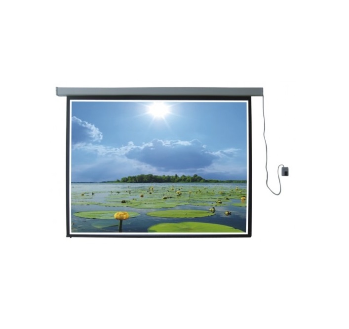 Màn chiếu điện 100 inch Dalite