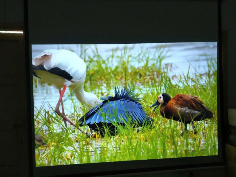 Máy chiếu cũ Sony VPL-CH370