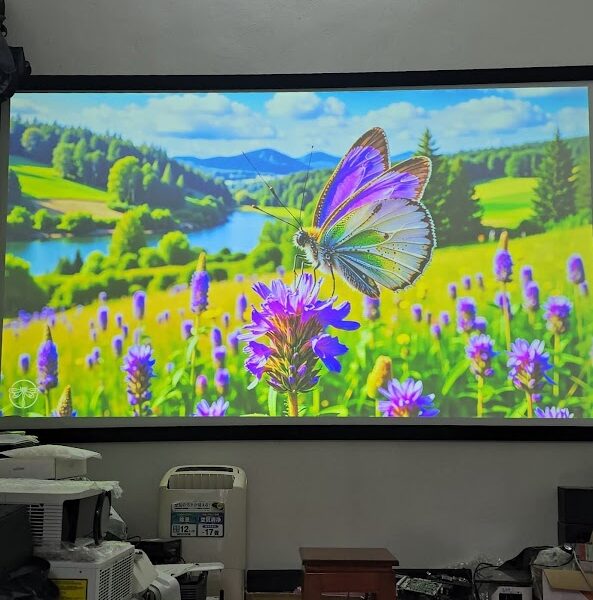 Hình ảnh chiếu của Panasonic PT-LB385 cũ